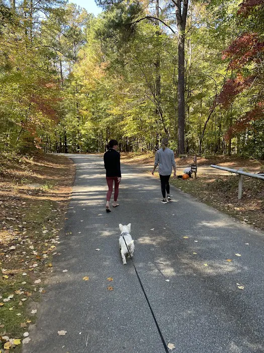 Holly Point Loop 3 Campgrounds 3