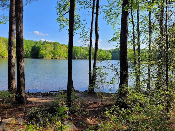 Holly Point Loop 4 Campgrounds 0