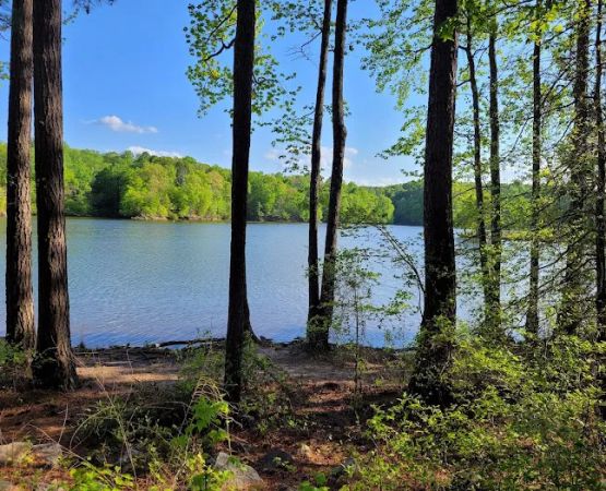 Holly Point Loop 4 Campgrounds