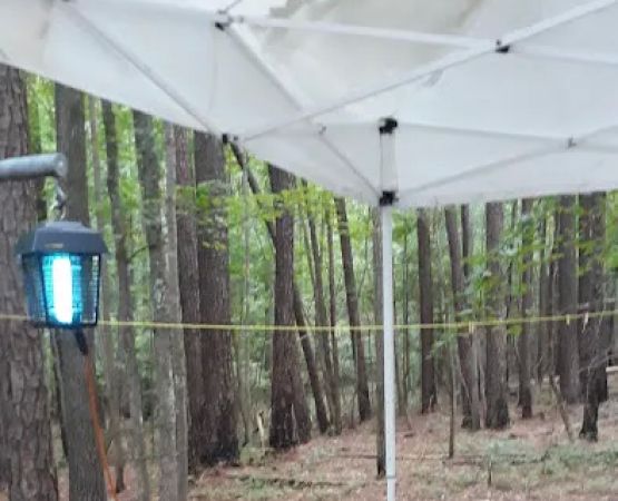 Holly Point Loop 1 Campgrounds