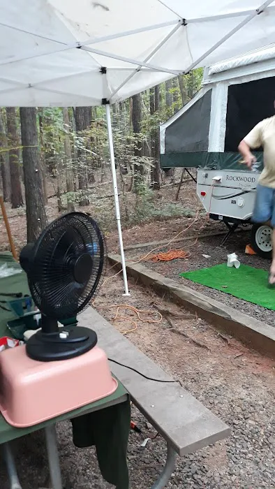 Holly Point Loop 1 Campgrounds 6