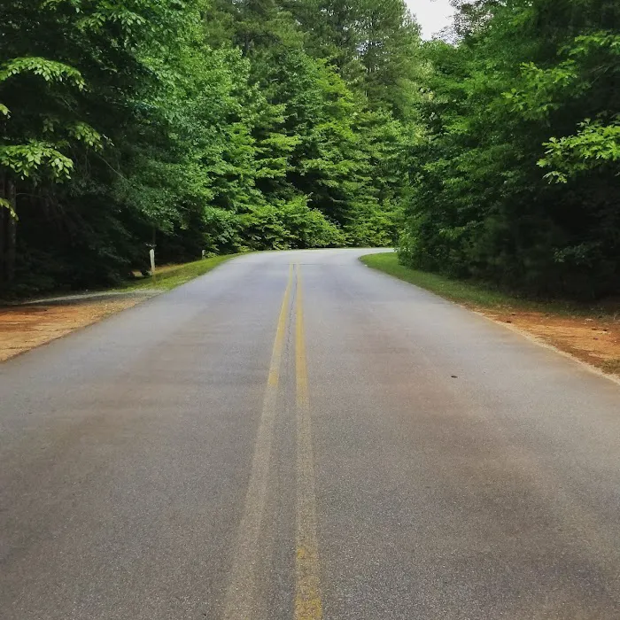 Holly Point Loop 1 Campgrounds 8
