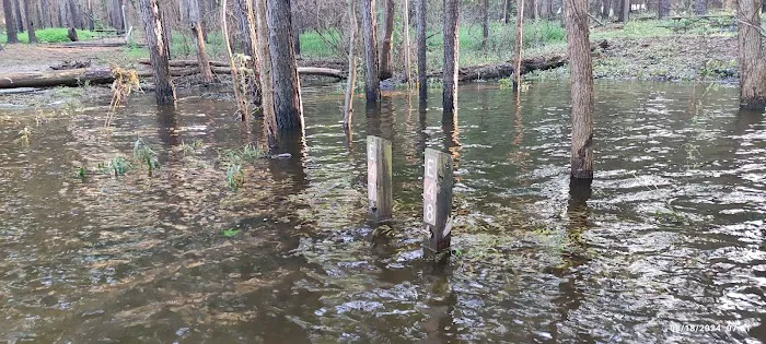 Poplar Point E Loop Campground 2