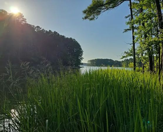 Poplar Point Loop G
