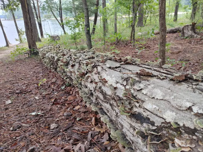 Poplar Point Loop G 6