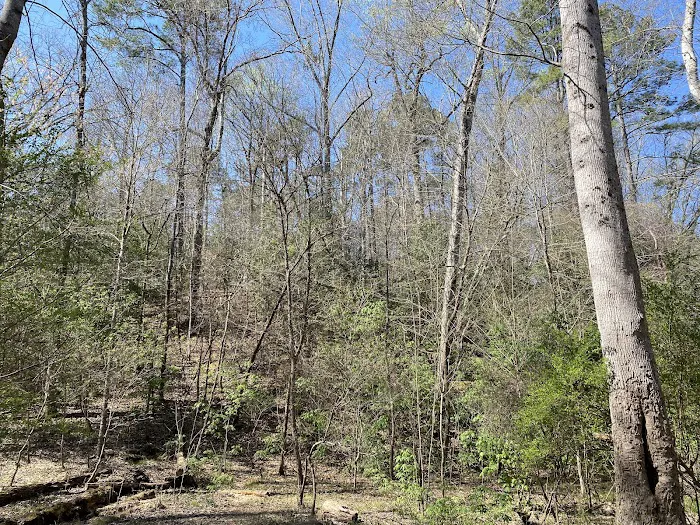 Raven Rock Canoe-in Campsites 0