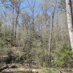 Raven Rock Canoe-in Campsites