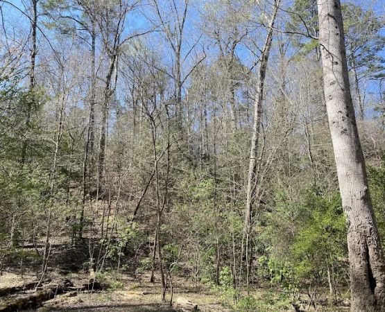 Raven Rock Canoe-in Campsites