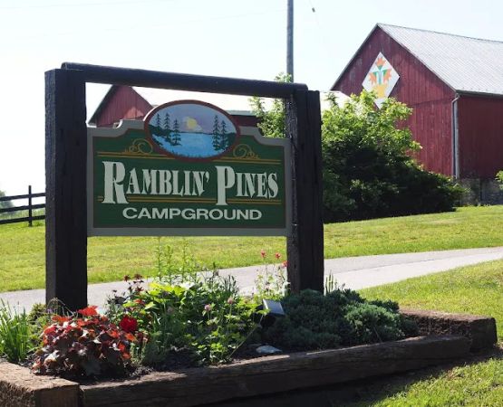Ramblin' Pines