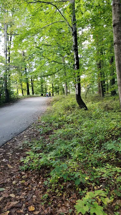 Hollofield Campground 3