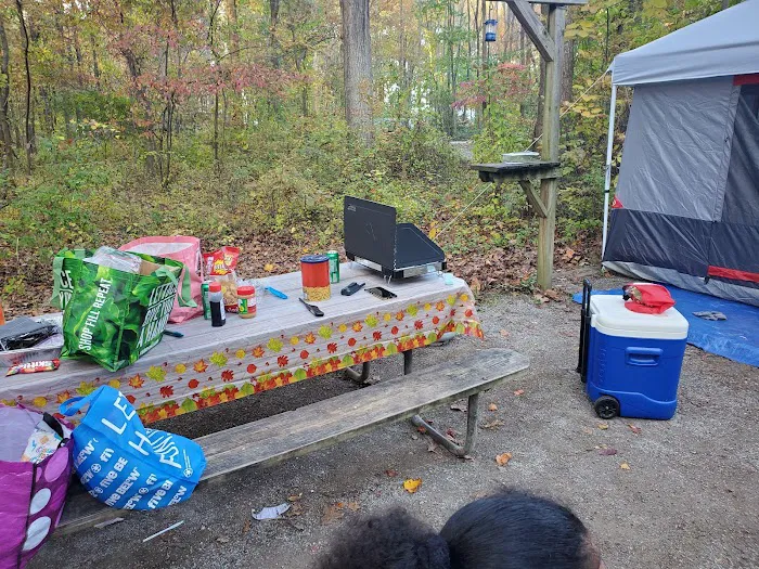 Hollofield Campground 9