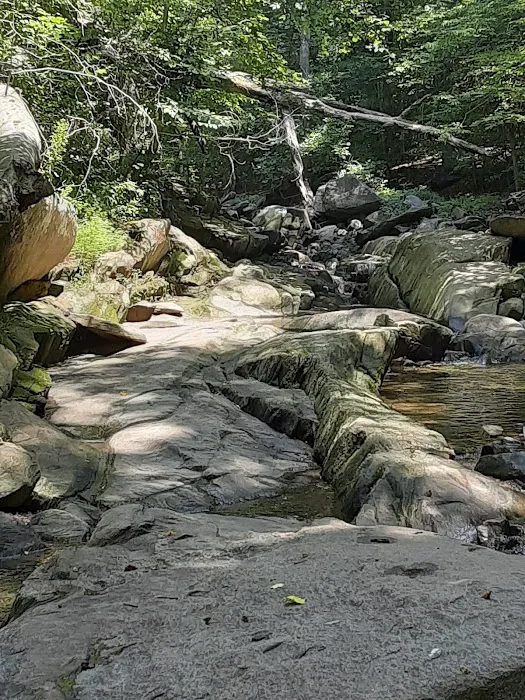Hilton Camping Loop 3