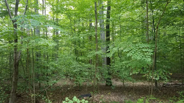 Hilton Camping Loop 0