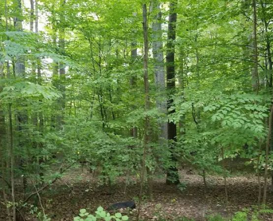 Hilton Camping Loop