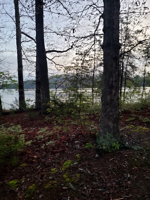 Betty's Island 5