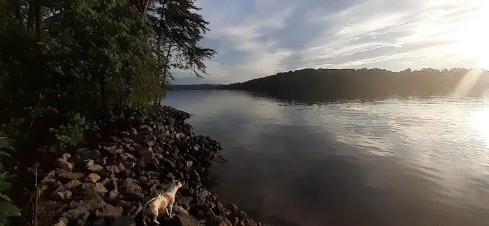 Betty's Island 8