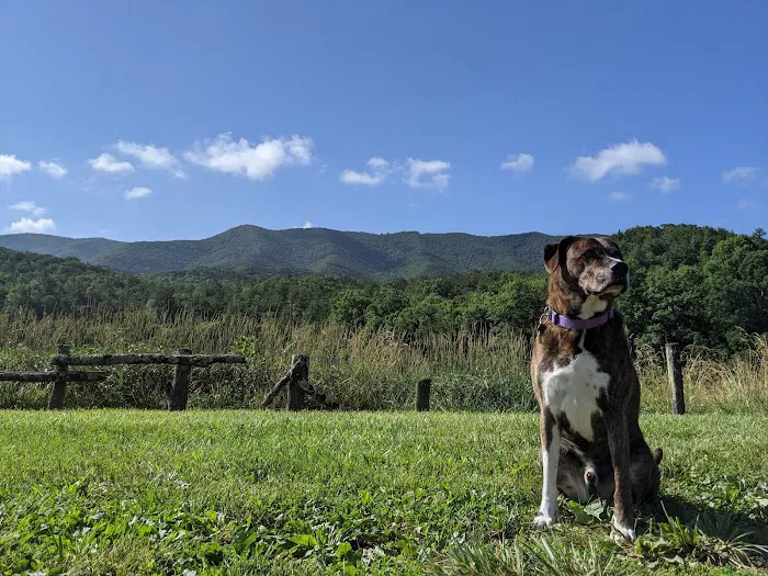 Caldwell Fields Campground 3