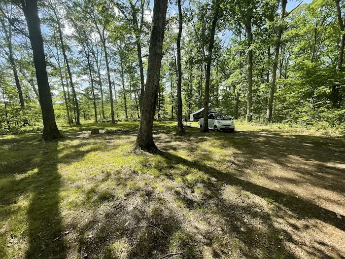The Pines Campground 2