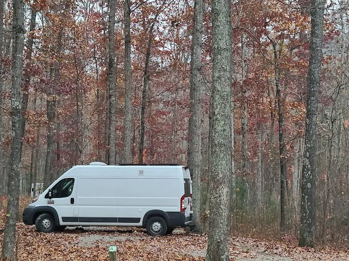 The Pines Campground 7