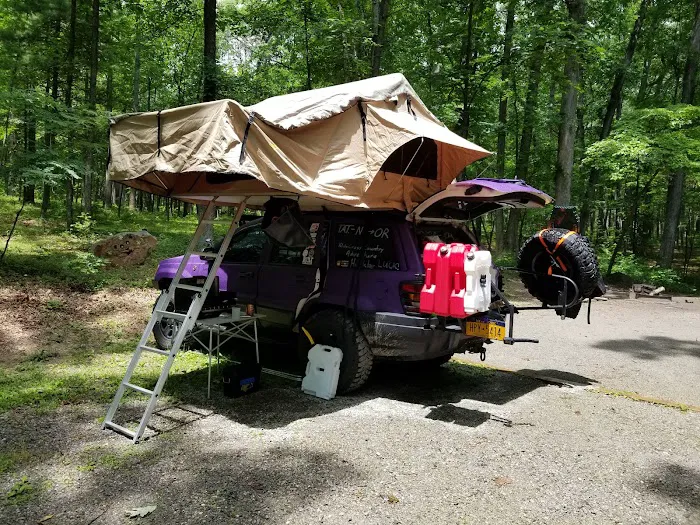 The Pines Campground 8