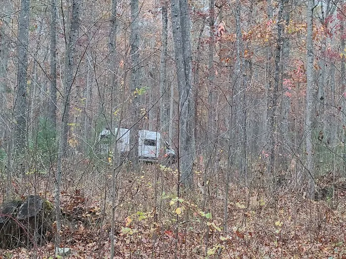 The Pines Campground 9