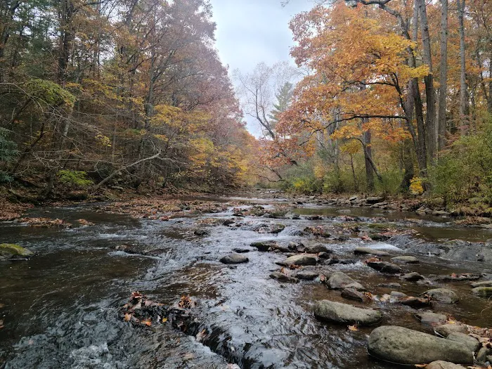 Steel Bridge Campground 1