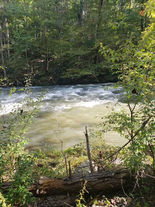 Steel Bridge Campground 4