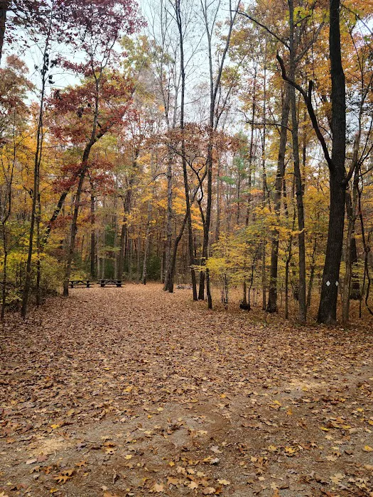 Steel Bridge Campground 6