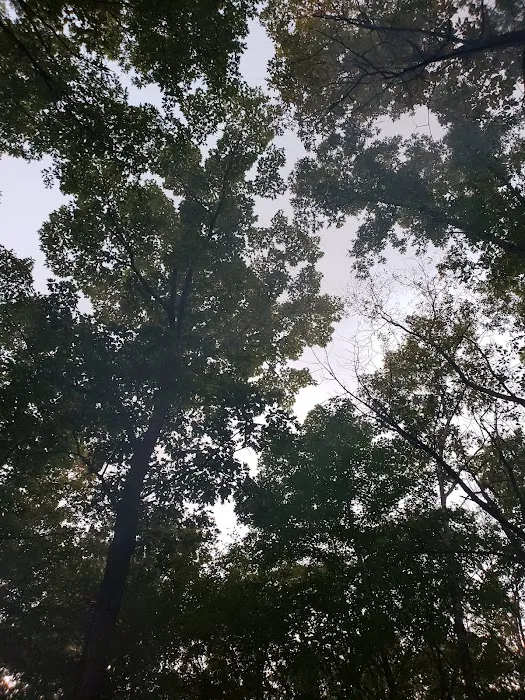 Steel Bridge Campground 7