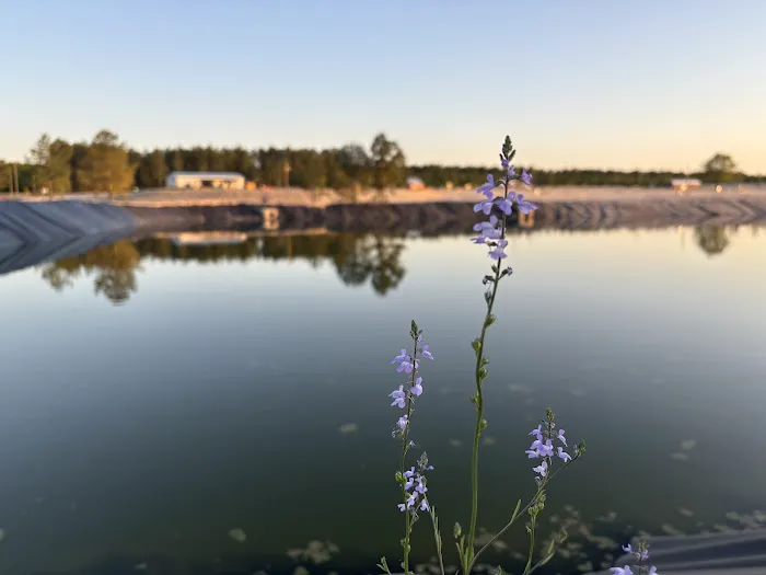 Standing Pines Campground and RV Resort 0