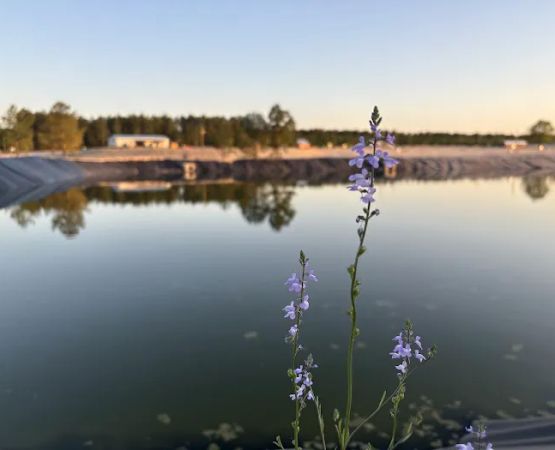 Standing Pines Campground and RV Resort