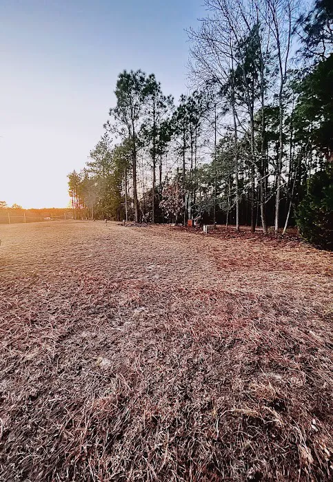 Racetrack Campground 4