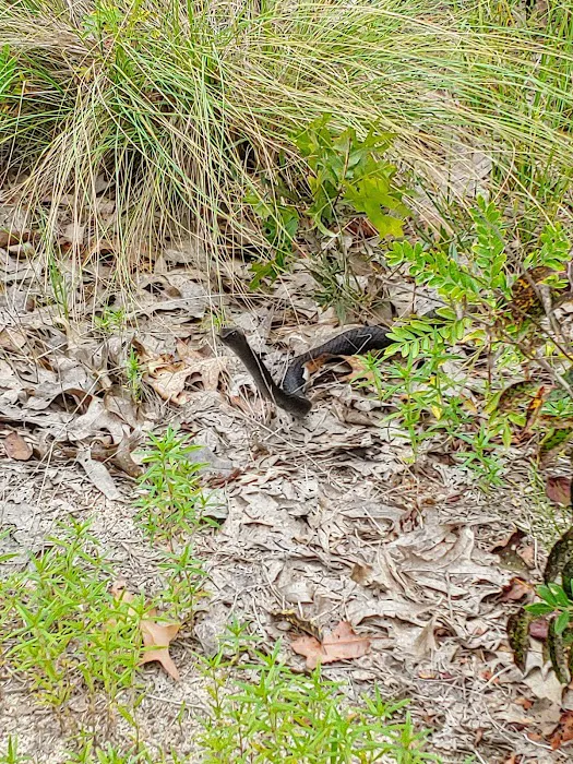 Sandhills campground b 3