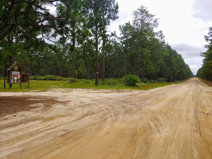 Sandhills campground b 7