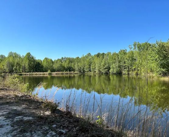 Midpoint I95 RV Park