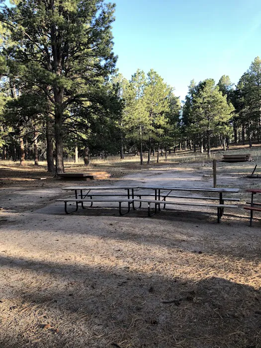 McNeil Scout Ranch at Peaceful Valley (Private Camp) 3