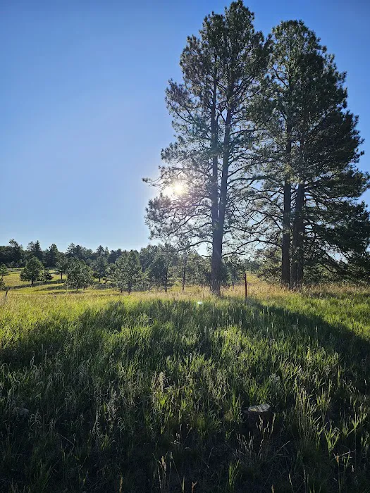 McNeil Scout Ranch at Peaceful Valley (Private Camp) 9