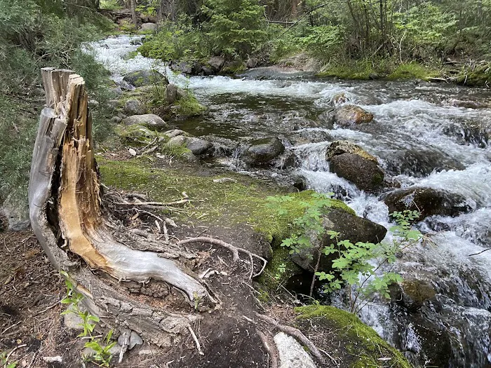North Crestone Creek Campground 0