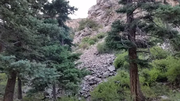 North Crestone Creek Campground 3