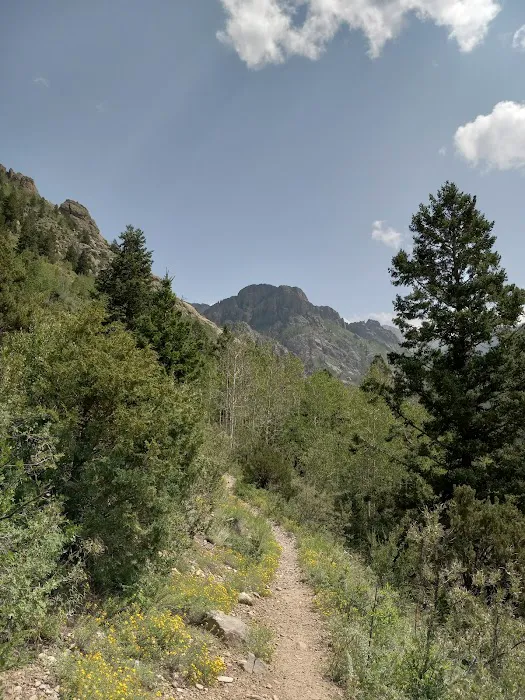 North Crestone Creek Campground 6