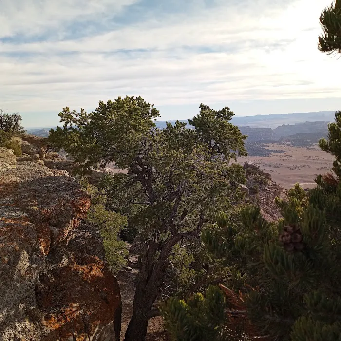 Cedar Mountain Campground 3