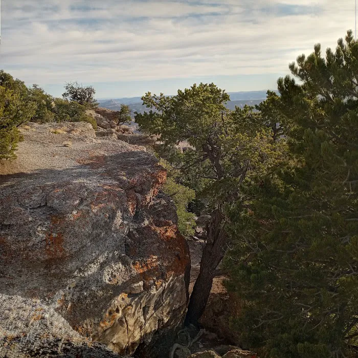Cedar Mountain Campground 4