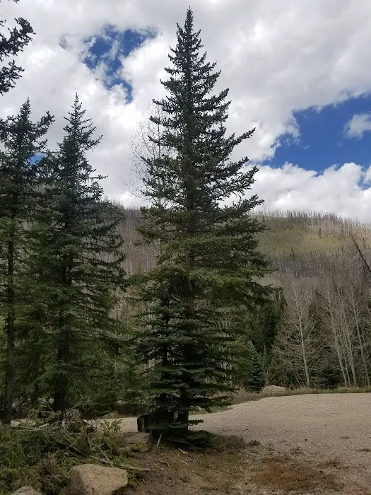 Old Folks Flat Group Campground 5
