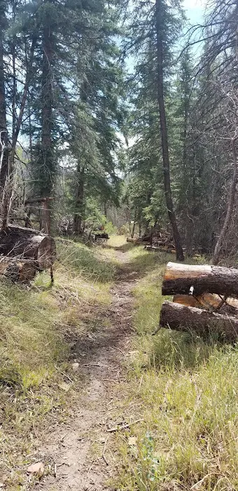 Old Folks Flat Group Campground 8