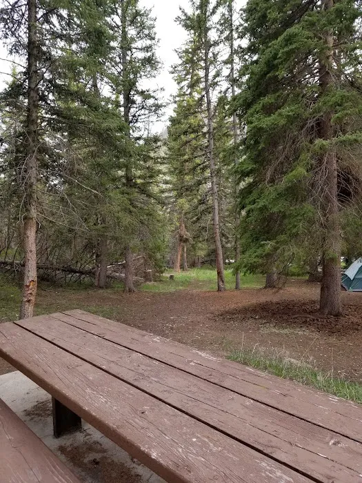 Old Folks Flat Group Campground 7