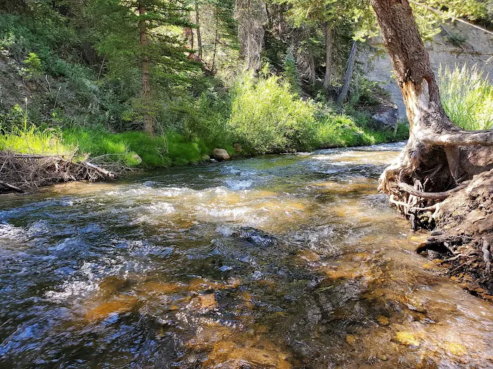 Big Rock Group Campground 1