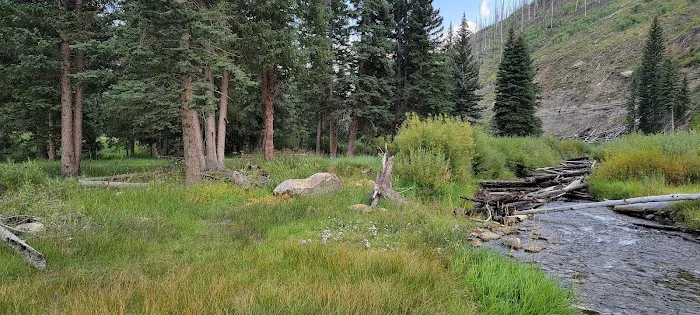 Chute Group Campground 2