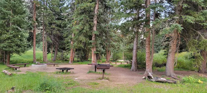 Chute Group Campground 6