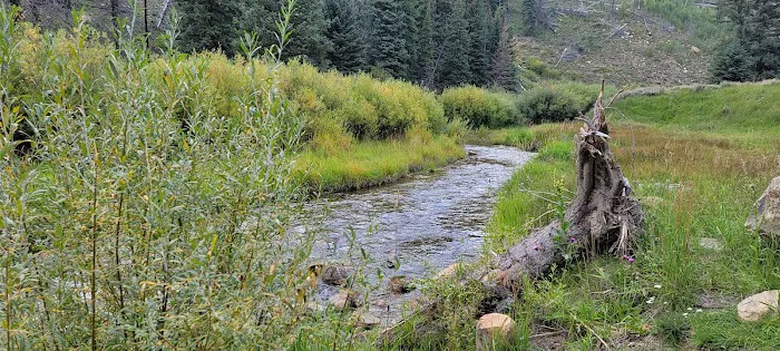 Chute Group Campground 5
