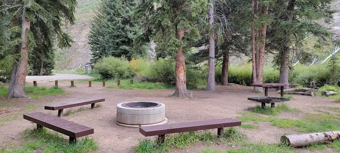Chute Group Campground 7